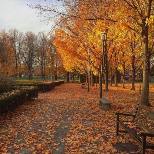 Ohio