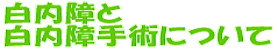 ������̎��͂�����